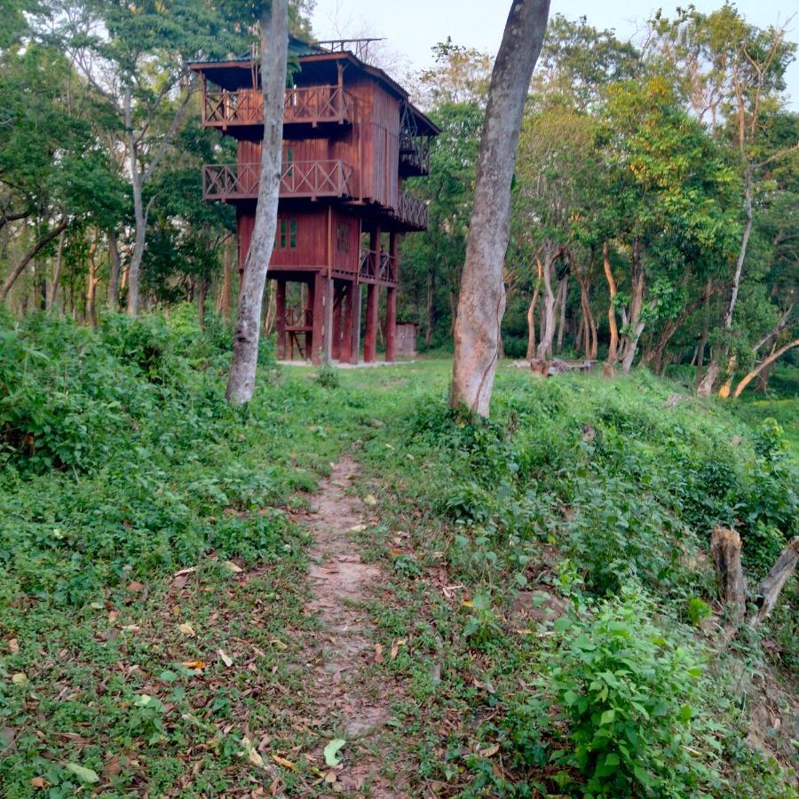 Hotel Tiger Tops Sauraha Exterior photo