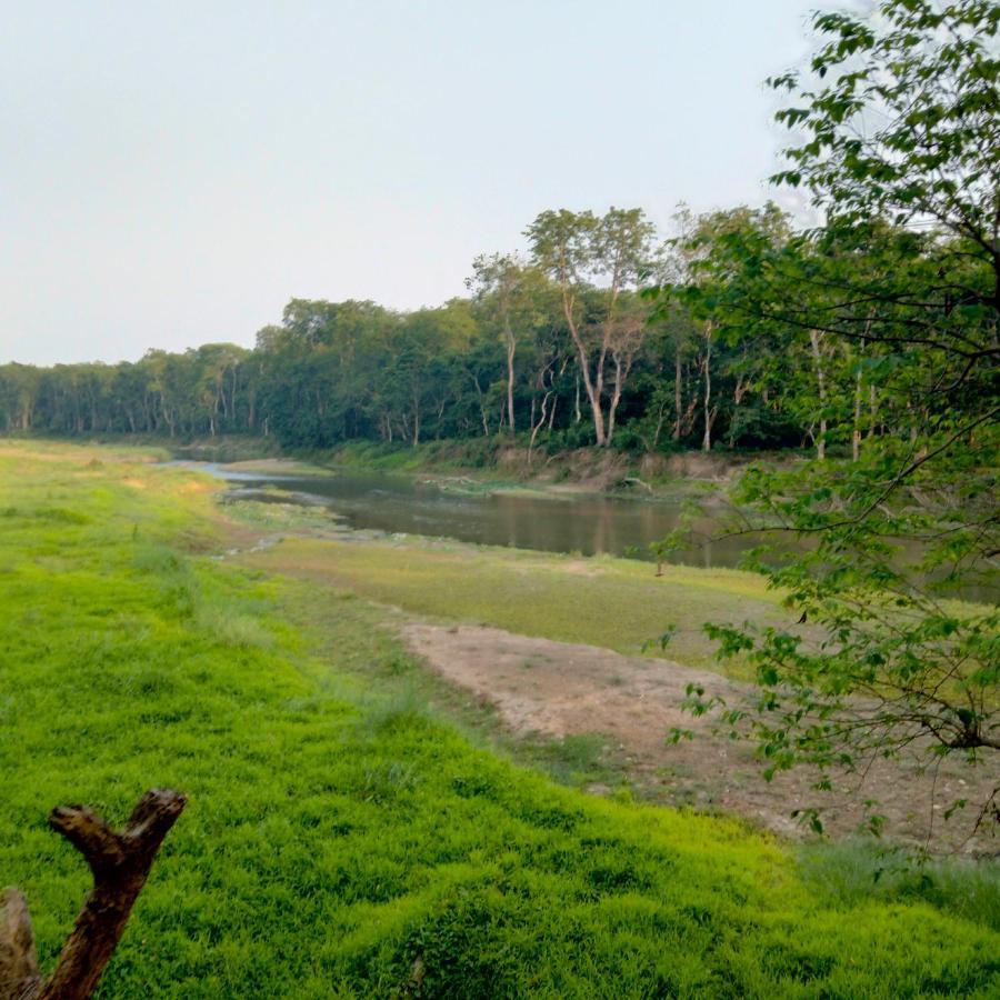 Hotel Tiger Tops Sauraha Exterior photo