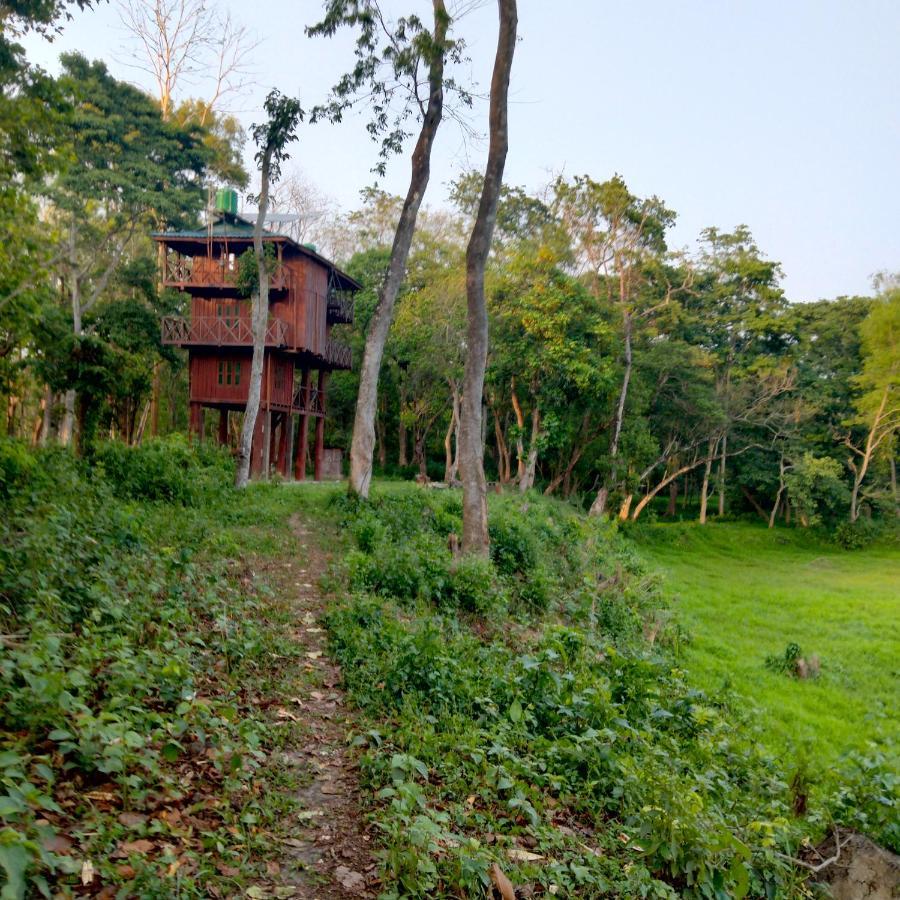 Hotel Tiger Tops Sauraha Exterior photo
