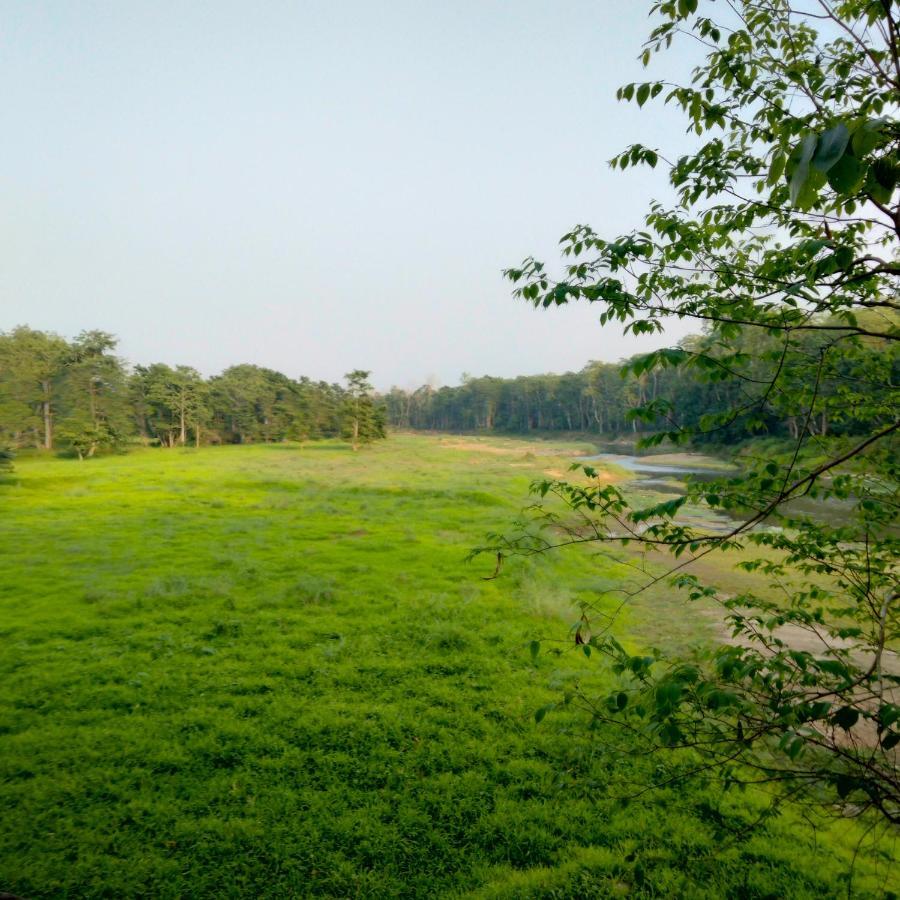 Hotel Tiger Tops Sauraha Exterior photo