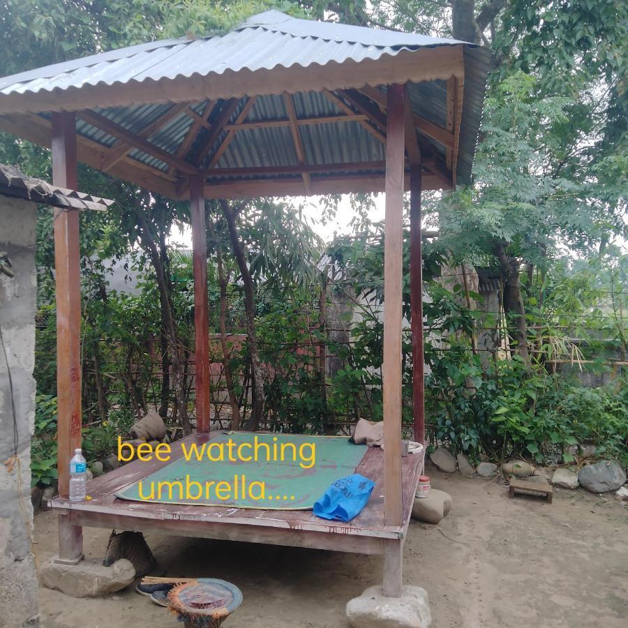 Hotel Tiger Tops Sauraha Exterior photo