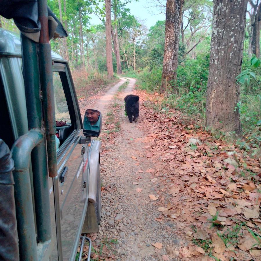 Hotel Tiger Tops Sauraha Exterior photo