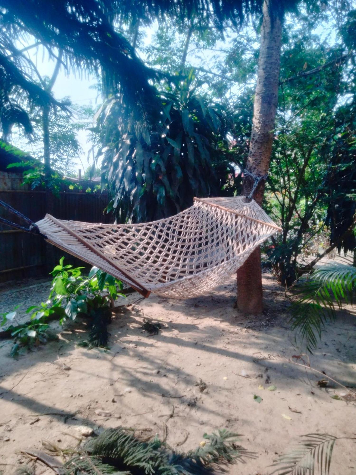 Hotel Tiger Tops Sauraha Exterior photo