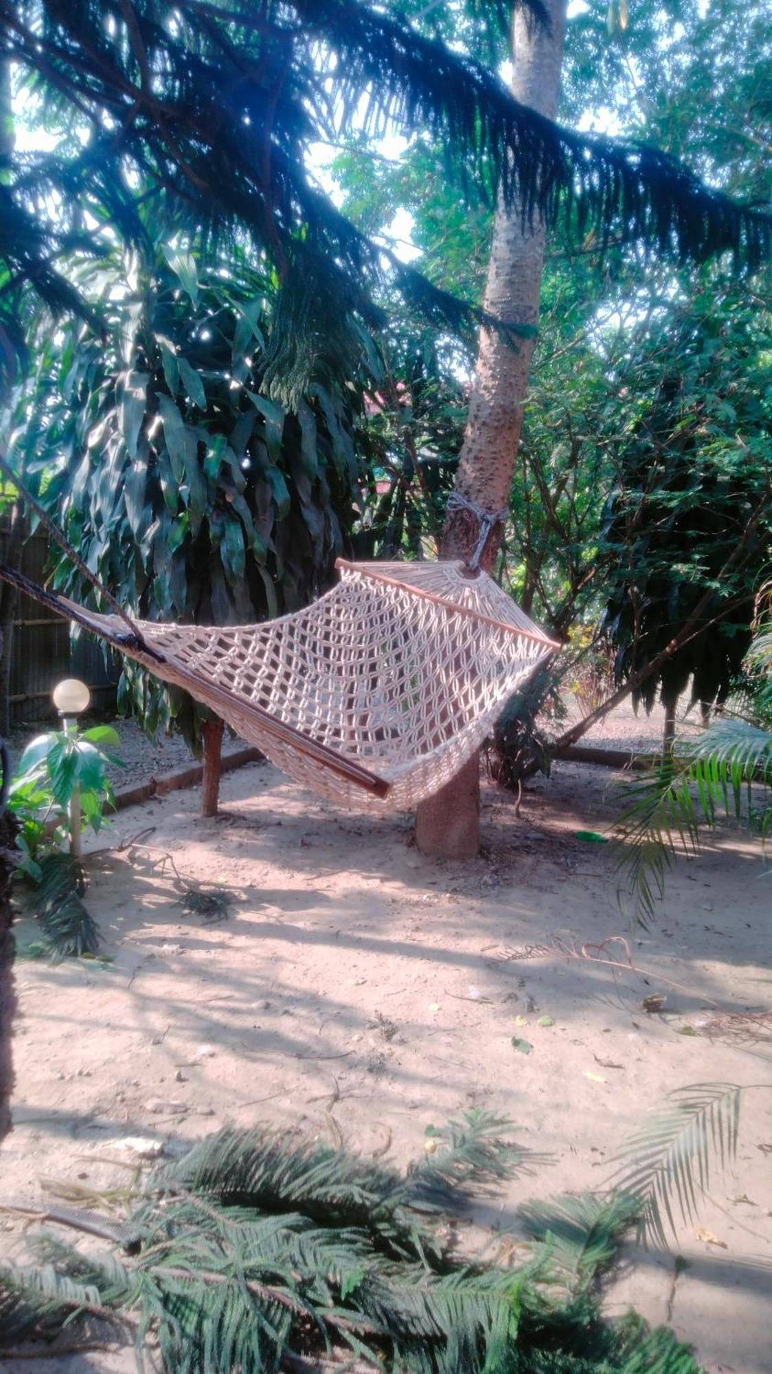 Hotel Tiger Tops Sauraha Exterior photo