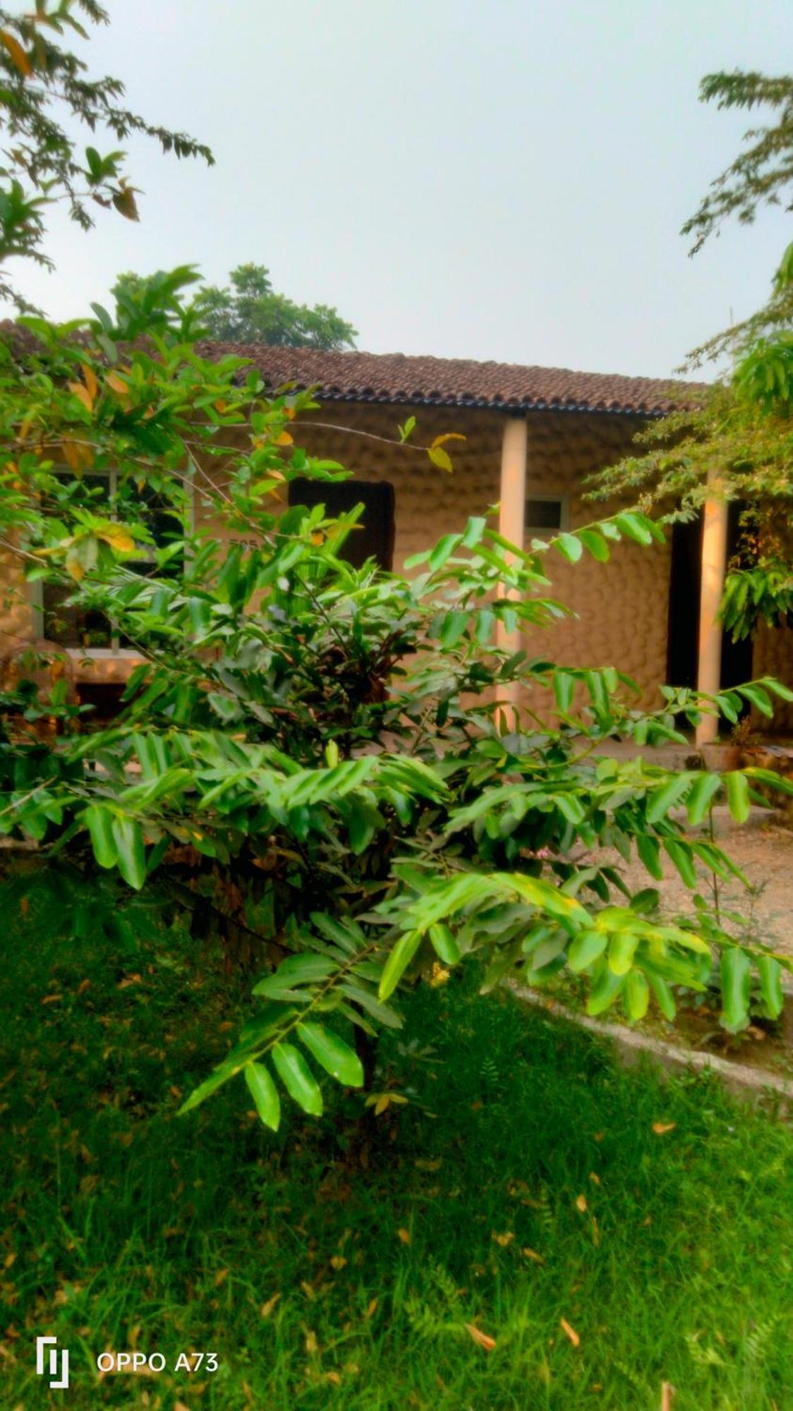 Hotel Tiger Tops Sauraha Room photo