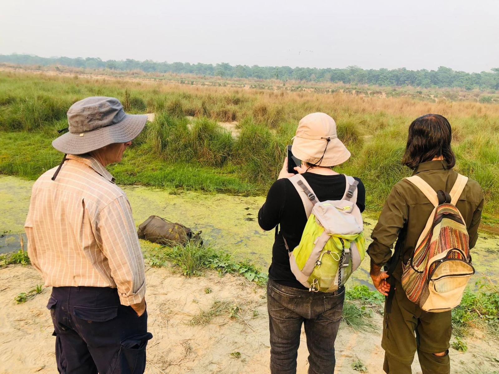 Hotel Tiger Tops Sauraha Exterior photo