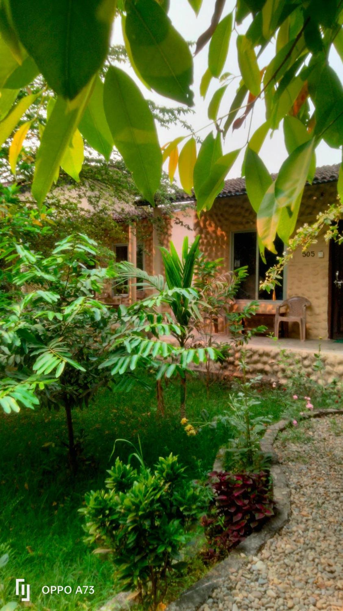 Hotel Tiger Tops Sauraha Room photo