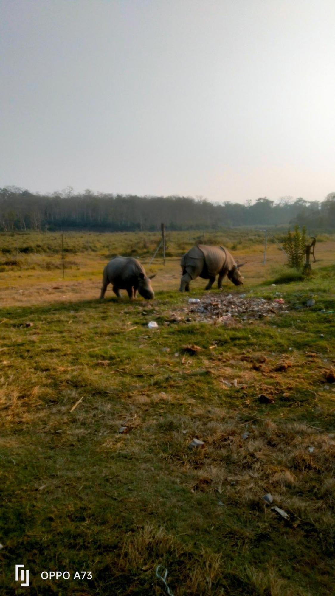Hotel Tiger Tops Sauraha Exterior photo