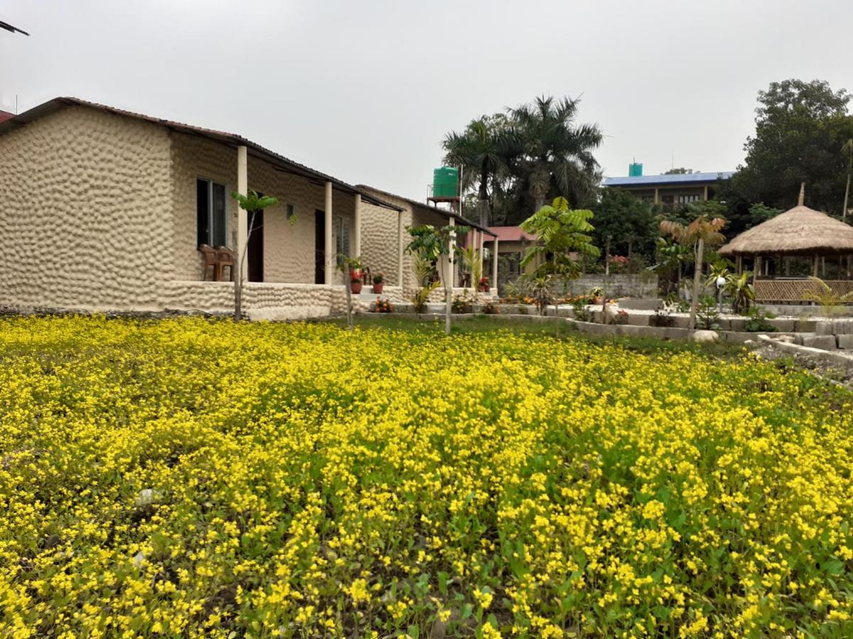 Hotel Tiger Tops Sauraha Exterior photo
